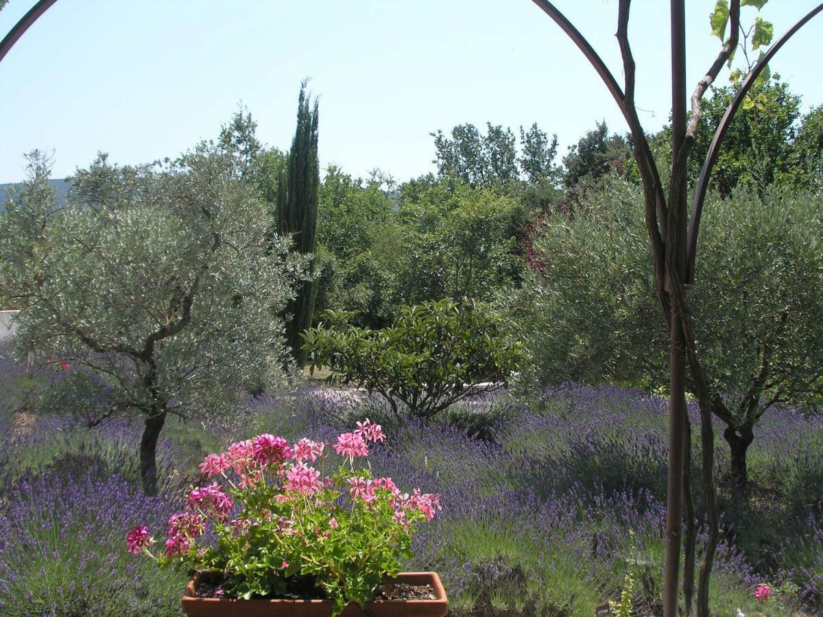 Clos Des Lavandes - Chambres Et Suites De Charme Climatisees-Luberon Lacoste  Eksteriør billede