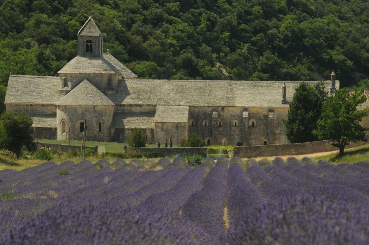 Clos Des Lavandes - Chambres Et Suites De Charme Climatisees-Luberon Lacoste  Eksteriør billede